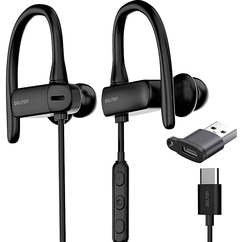 Delton 24ECA Stereo Earbuds, USB Type-C (DWH24ECA) image 1