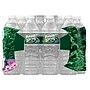 Poland Spring 100% Natural Spring Water, Regular Flavor, 16.9 oz., 24/Carton (12119419)~#|#~C48EDAA4-EAA9-4222-93FAEBAEDF8D7040_sc7