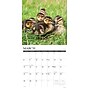 2026 Willow Creek Baby Animals 12" x 12" Monthly Wall Calendar (50002X)~#|#~C4A6763F-115B-472E-9BCB421CED088C92_sc7