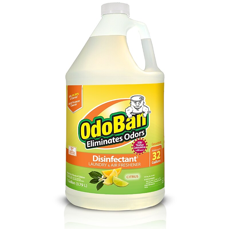 OdoBan Air Freshener & Deodorizer, Citrus Scent, 1 Gallon (911661-G4) image 1