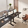 FlexiSpot E7 Commercial 60''W Electric Rectangular Adjustable Standing Desk, Black (E7BCOM6030-B)~#|#~C4C1BD7B-113A-4B7A-99A89300605F2AD1_sc7