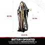 Haunted Hill Farm Life-Size Poseable Witch (HHWITCH-13FLSA)~#|#~C4CA3CB3-7109-440F-A76C8A5C77D79637_sc7