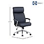 Sealy Newton Ergonomic Faux Leather Swivel Executive Chair, Black (59887)~#|#~C4D0FB4F-32D1-4DE4-AE09C7CD13184BD5_sc7