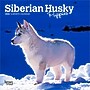 2026 BrownTrout Siberian Husky Puppies 7" x 7" Monthly Wall Calendar (9798330705597)~#|#~C4D44BA1-F766-4103-BDBEC2D5D90BE243_sc7