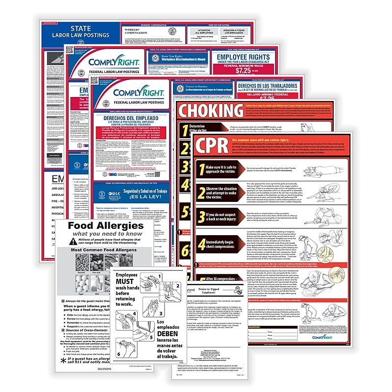 ComplyRight Federal (Bilingual), State and Healthcare (English) Labor Law 1-Year Poster Service, Florida (U1200CBORESTFL) image 1