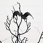 Nearly Natural Pre-Lit Artificial Halloween Black Spooky Twig Tree, 3' (T5231)~#|#~C4DE335C-B4F8-4752-825899BF442131F5_sc7