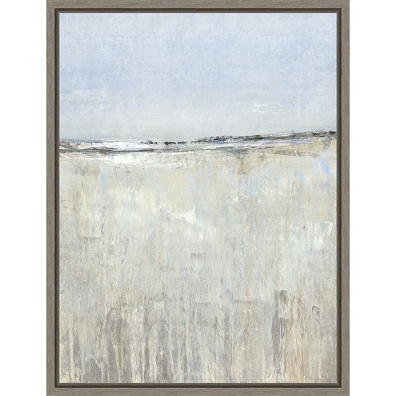Amanti Art The Clearing II by Tim O'Toole Framed Canvas Wall Art Print, 18" x 24" (A42675373939) image 1