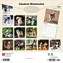 2026 BrownTrout Alaskan Malamutes 12" x 12" Monthly Wall Calendar (9798330702053)~#|#~C50FB44D-6AE9-4BB4-938C30FAD300E1C2_sc7