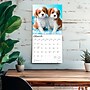 2026 BrownTrout Cavalier King Charles Spaniel Puppies 12" x 12" Monthly Wall Calendar (9798330702817)~#|#~C510C05D-2C22-46E3-AB6B10E769C12087_sc7