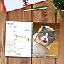2027 Willow Creek Cat-astrophe 6.5" x 8.5" Weekly & Monthly Desk Calendar (64351)~#|#~C5202060-35A4-463A-85944ADB816FA833_sc7