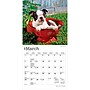2027 BrownTrout Boston Terrier Puppies 7" x 7" Monthly Wall Calendar, Assorted Colors (9798330709939)~#|#~C531F60C-13E4-46DF-A77D0FFB8F0A9340_sc7