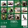2027 Willow Creek Ferrets  12" x 12" Monthly Wall Calendar (60230)~#|#~C5409B90-DDAF-4A03-9FF6B734FAC1FE5F_sc7