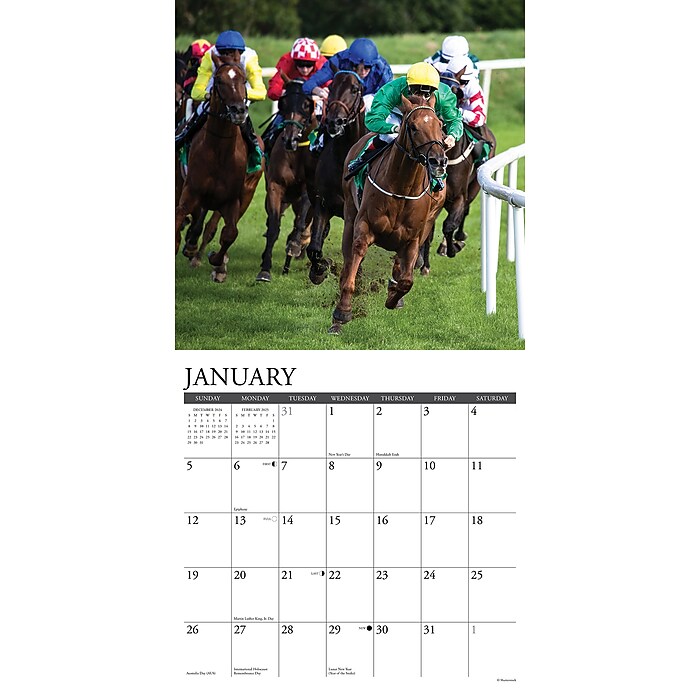2025-willow-creek-horse-racing-12-x-12-monthly-wall-calendar-43363-staples