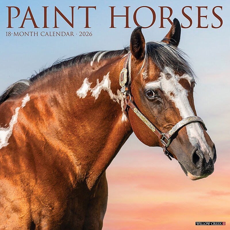 2026 Willow Creek Paint Horses 12" x 12" Monthly Wall Calendar (52297) image 1