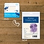 Strathmore Creative Cards & Envelopes, 4.875" x 3.5", Ivory, 6/Sheets, 3/Bundle (STTP20515-3)~#|#~C5A1EAE8-B70D-494B-A23299749D52E7E0_sc7