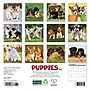 2026 Willow Creek Puppies 7" x 7" Monthly Wall Calendar (53737)~#|#~C5D37966-6043-419D-922BDF4007DFEAB5_sc7