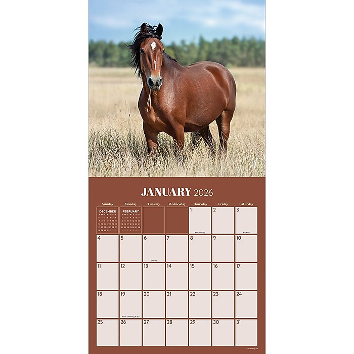 Buy What Horses Teach Us 2026 12 X 12 Wall Calendar Online