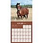 2026 TF Publishing Horses 12" x 12" Monthly Wall Calendar (26-1012)~#|#~C5DA6B8D-D0AE-4FD6-9F57CCBDD08DA99D_sc7