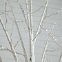 Nearly Natural 8-ft Pre-Lit Artificial White Birch Tree with 500 Warm White LED Lights (T4912)~#|#~C5E904EA-A980-4C92-9899F9FF1AE4A056_sc7
