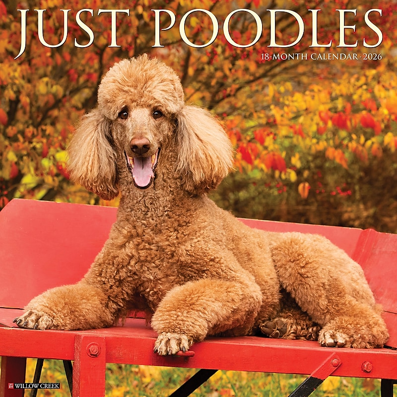 2026 Willow Creek Poodles 12" x 12" Monthly Wall Calendar (52440) image 1