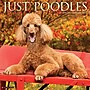 2026 Willow Creek Poodles 12" x 12" Monthly Wall Calendar (52440)~#|#~C60E873F-7BBC-44EF-9B661740281B2C5C_sc7