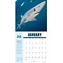 2027 Willow Creek Shark Year 12" x 12" Monthly Wall Calendar, Reversible, Assorted Colors (62289)~#|#~C60FC10E-75C0-4515-B21522116D94A1BA_sc7