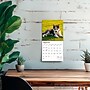 2026 BrownTrout Siberian Husky Puppies 7" x 7" Monthly Wall Calendar (9798330705597)~#|#~C641072C-0BAA-4041-896D0F0148F582CF_sc7