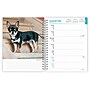 2026 BrownTrout Chihuahuas 6.5" x 7.75" Weekly Planner (9798330702930)~#|#~C64985FA-FDBD-4C6A-A49C8161985D71B9_sc7