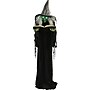 Haunted Hill Farm Life-Size Poseable Witch with Spell Book (HHWITCH-9FLS)~#|#~C6573801-37D5-4E9D-9094C1580A91287D_sc7