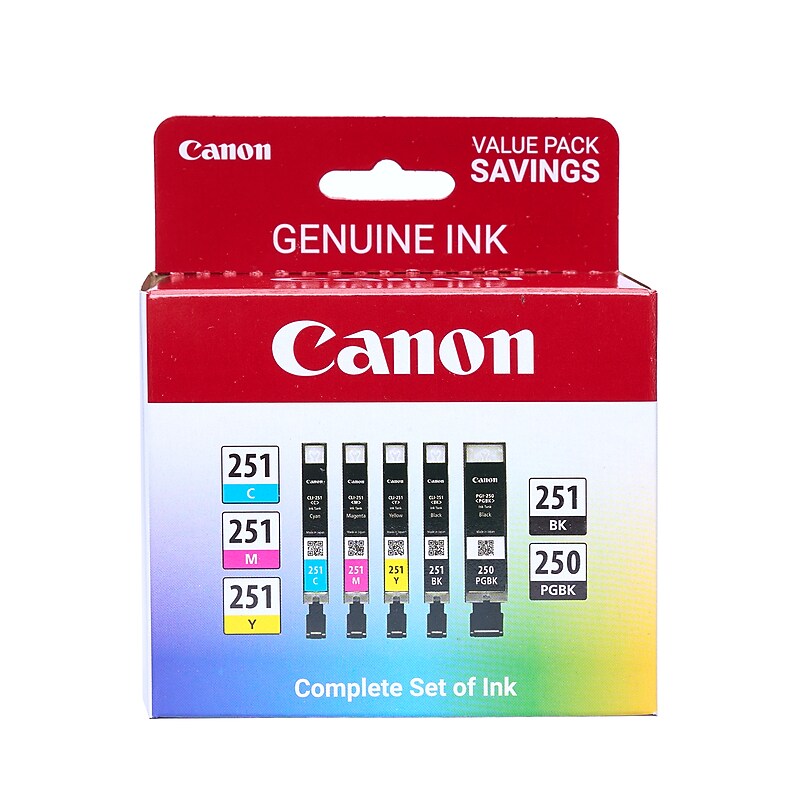 Canon PGI-250/CLI-251 Black/Photo Black/Cyan/Magenta/Yellow Standard Yield Ink Cartridge, 5/Pack (6497B013) image 1