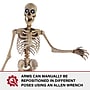 Haunted Hill Farm 8' Tall Motion-Activated Towering Skeleton (HHTWRSKEL-2FLSA)~#|#~C66BD6E9-A860-48CF-AE60638974D31E23_sc7