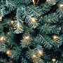 National Tree Company North Valley Blue Spruce Artificial Christmas Tree, 9 ft., Clear Lights (NRVB7-306-90)~#|#~C674A192-E095-4061-80CA2002FA9A9938_sc7