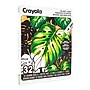 Crayola Plant Lady Adult Coloring Book, 32 Pages (047062)~#|#~C678C56A-90DC-413C-9A1622D34810A624_sc7