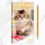 2027 TF Publishing Kitten 3.5" x 6.5"  Monthly Standard Planner, Paperboard Cover, Multicolored (27-7022)~#|#~C679AC5E-CFB4-4EA1-BDC07D9F3B817204_sc7