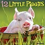 2026 Willow Creek 12 Little Piggies 12" x 12" Monthly Wall Calendar (55298)~#|#~C6887D58-63BD-4CAD-B746DE9D907A68E1_sc7