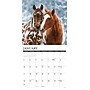 2027 Willow Creek Paint Horses 12" x 12" Monthly Wall Calendar, Assorted Colors (61695)~#|#~C6A5FD41-8FBF-4C97-BD54F2768D41F77E_sc7