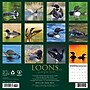 2026 Willow Creek Loons 12" x 12" Monthly Wall Calendar (51832)~#|#~C6AE36F3-504D-4DCB-B1C497EC46B822E7_sc7
