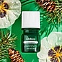 Lifelines Fir Needle & Pine Evaporative Aromatherapy Essential Oil Boxwood Plant Diffuser (11-1611)~#|#~C6DBCEBA-9D36-4874-84D3D382E07AB221_sc7