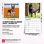 2027 BrownTrout German Shepherds 7" x 7" Monthly Wall Calendar, Assorted Colors (9798330710003)~#|#~C6E5C77D-EE4B-41F3-B0ACAAF97FA2C0ED_sc7