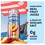 SANPELLEGRINO CIAO! Peach Flavored Sparkling Seltzer Water, 11.15 oz., 6 Cans/Pack, 4 Packs/Carton (0-41508-76547-3)~#|#~C6F289A9-07D0-4B1D-BB82FA30B231ED2D_sc7