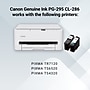 Canon PG-295XL/CL-286XL Black/Tri-Color High Yield Ink Cartridge Bundle, 2/Pack (7164C005)~#|#~C6F59E4E-757B-41DE-903573EE320A19A0_sc7