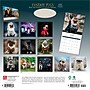 2026 BrownTrout Fantasy Pugs 12" x 12" Monthly Wall Calendar (9798330701865)~#|#~C6F89A89-0118-467B-9939792D13EBC0E7_sc7