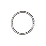 ACCO Book Ring, 1" Capacity, Silver, 100/Box (A7072202)~#|#~C70A4838-6CDB-427B-B15E58E8D3E6A233_sc7