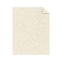 Astrobrights 65 lb. Cardstock Paper, 8.5" x 11", Natural, 100 Sheets/Pack (27427)~#|#~C712C987-C9F7-4788-85ABBB46151732B5_sc7