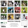 2027 Willow Creek Boston Terriers 12" x 12" Monthly Wall Calendar, Assorted Colors (59302)~#|#~C71842EB-C000-42C6-92B876F74B50FFAC_sc7