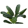 Monarch Specialties Inc. 55" Artificial Banana Tree in Pot (I 9568)~#|#~C71ABEC2-B259-496D-8236ADBEB6564C3A_sc7