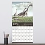 2026 TF Publishing 12" x 17" TF Publishing 12" x 12" Dinosaurs Wall Calendar 26-1139~#|#~C72413EE-8C6C-4801-88D44481A3A47C81_sc7