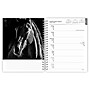 2027 BrownTrout The Noble Horse 6.5" x 7.8" Calendar Year Weekly Standard Planner, Multicolor (9798330709465)~#|#~C731A0BA-28EE-4AB7-A321E284A26D1CD5_sc7