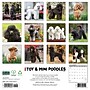 2027 Willow Creek Poodles 12" x 12" Monthly Wall Calendar, Assorted Colors (62647)~#|#~C7548CDD-99A2-4D98-B919A821DB2C0075_sc7