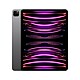 iPad Pro